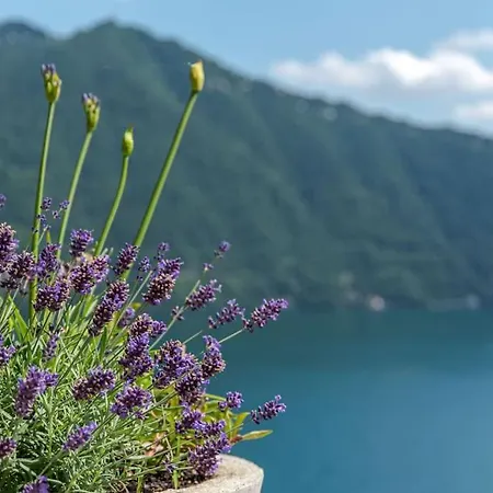 Appartement In Emilia- Amazing View Cernobbio